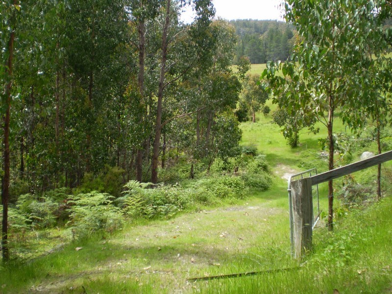 Glen Huon TAS 7109