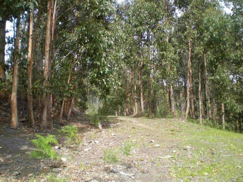 Glen Huon TAS 7109