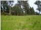 Glen Huon TAS 7109
