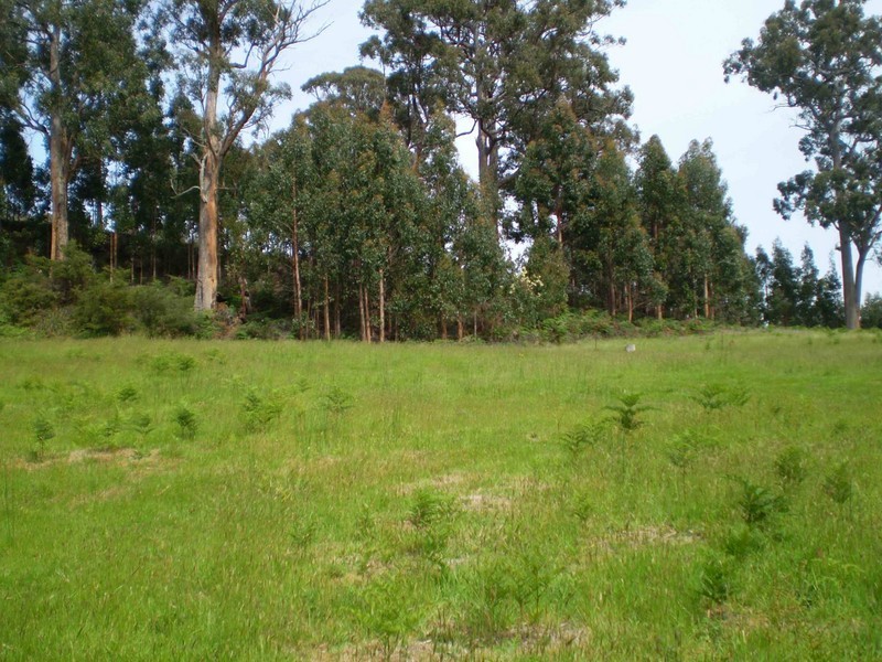Glen Huon TAS 7109