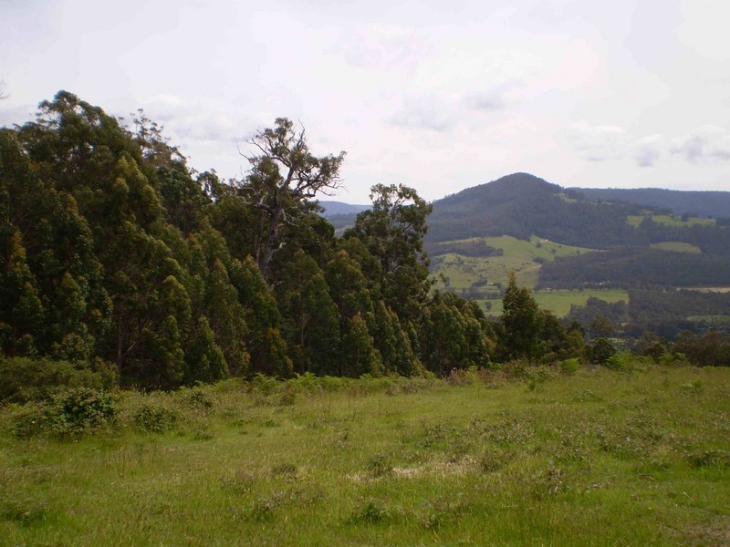 Glen Huon TAS 7109