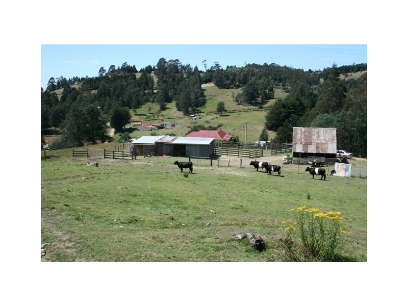 Kaoota TAS 7150