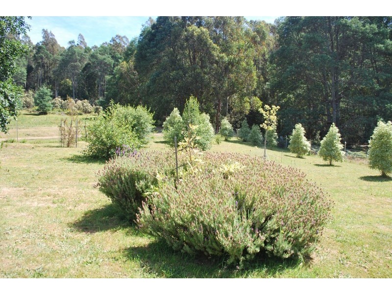 61 McQueens Road, Snug TAS 7054