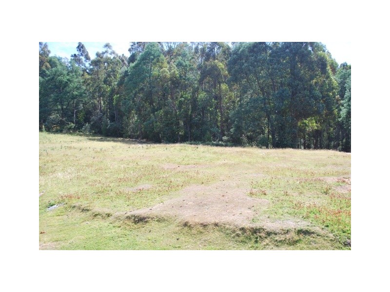 61 McQueens Road, Snug TAS 7054