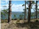 Bruny Island TAS 7150