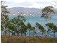 Bruny Island TAS 7150
