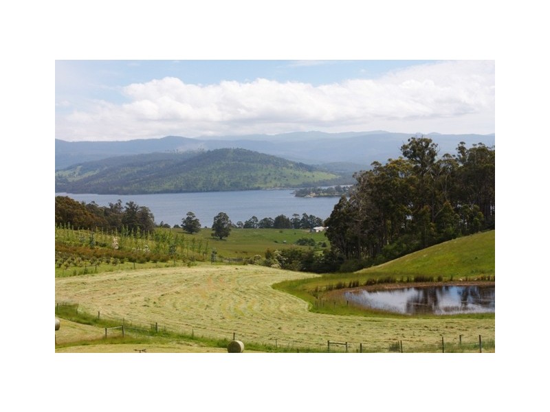 Lower Wattle Grove TAS 7109