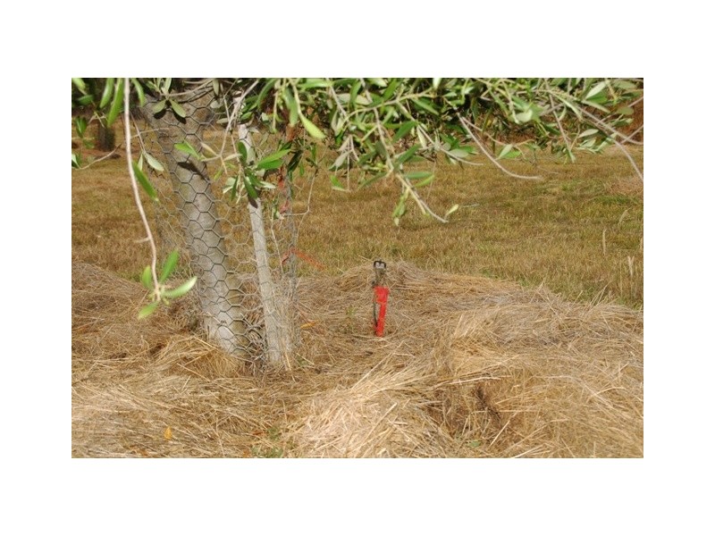 Lower Wattle Grove TAS 7109