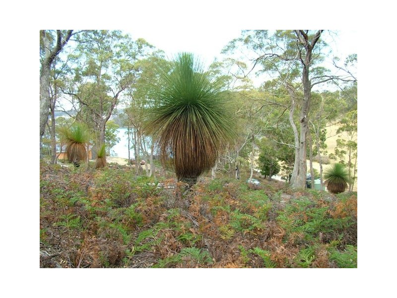 Bruny Island TAS 7150