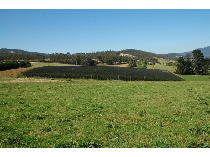 Lot 1, 621 Silver Hill Road, Glaziers Bay TAS 7109