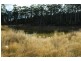 Lot 1, 621 Silver Hill Road, Glaziers Bay TAS 7109