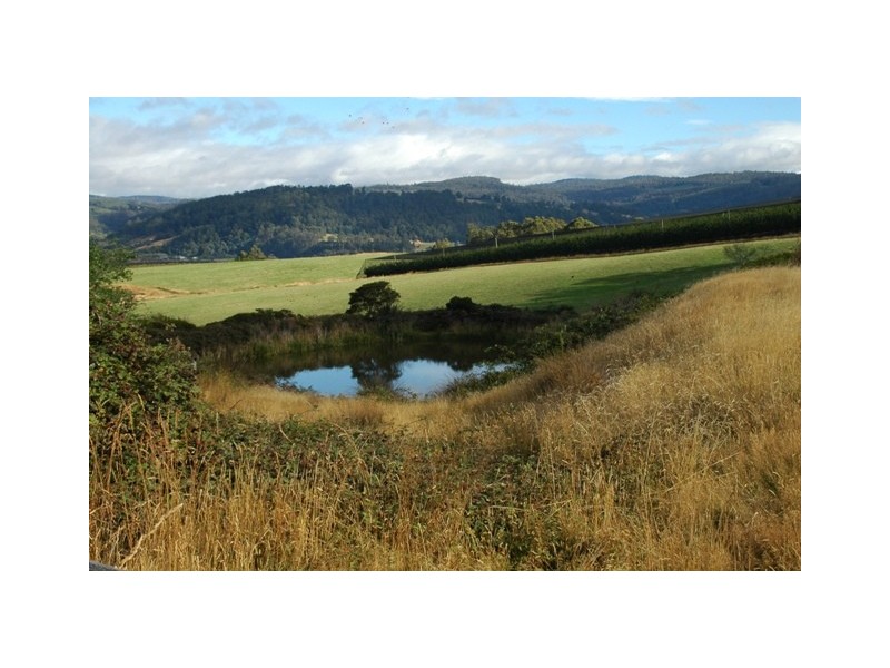 Lot 1, 621 Silver Hill Road, Glaziers Bay TAS 7109