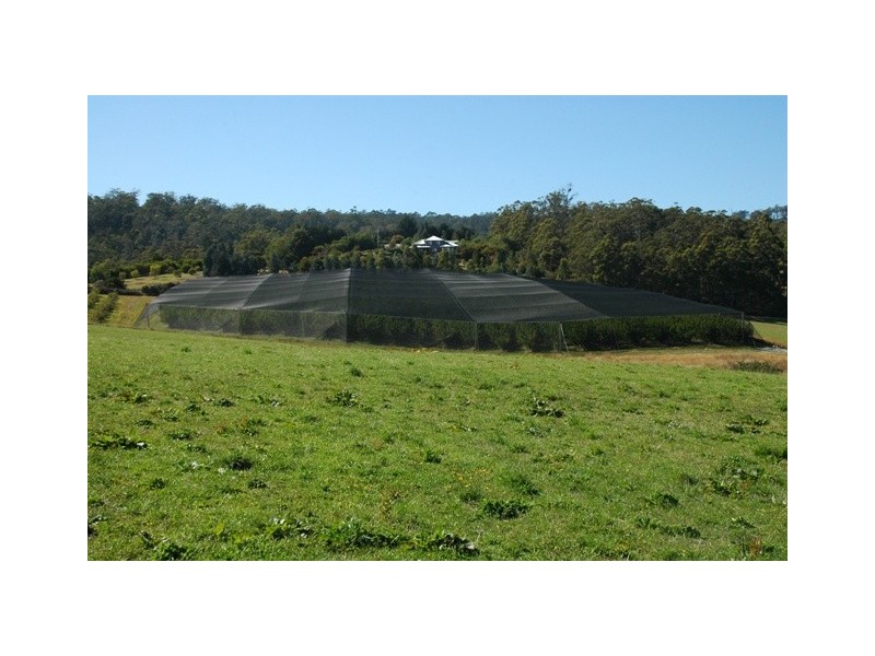 Lot 1, 621 Silver Hill Road, Glaziers Bay TAS 7109