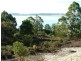Bruny Island TAS 7150