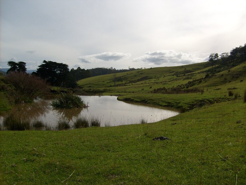 Wattle Grove TAS 7109