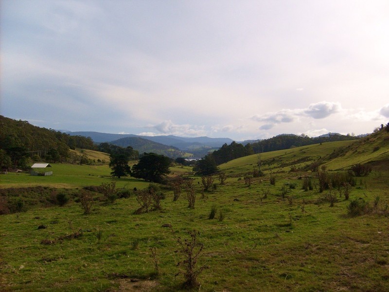 Wattle Grove TAS 7109