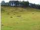 Wattle Grove TAS 7109
