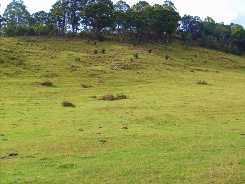 Wattle Grove TAS 7109