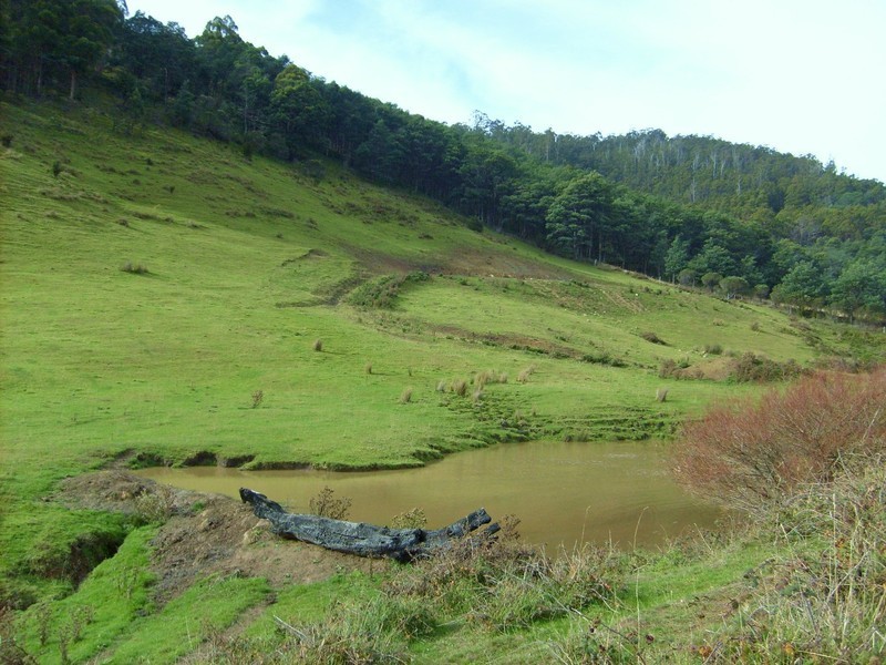 Wattle Grove TAS 7109