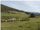 Wattle Grove TAS 7109