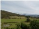 Wattle Grove TAS 7109