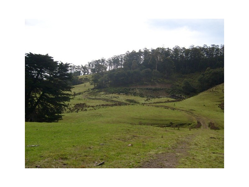 Wattle Grove TAS 7109