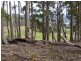 Wattle Grove TAS 7109