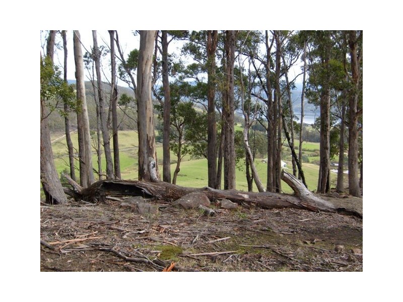 Wattle Grove TAS 7109