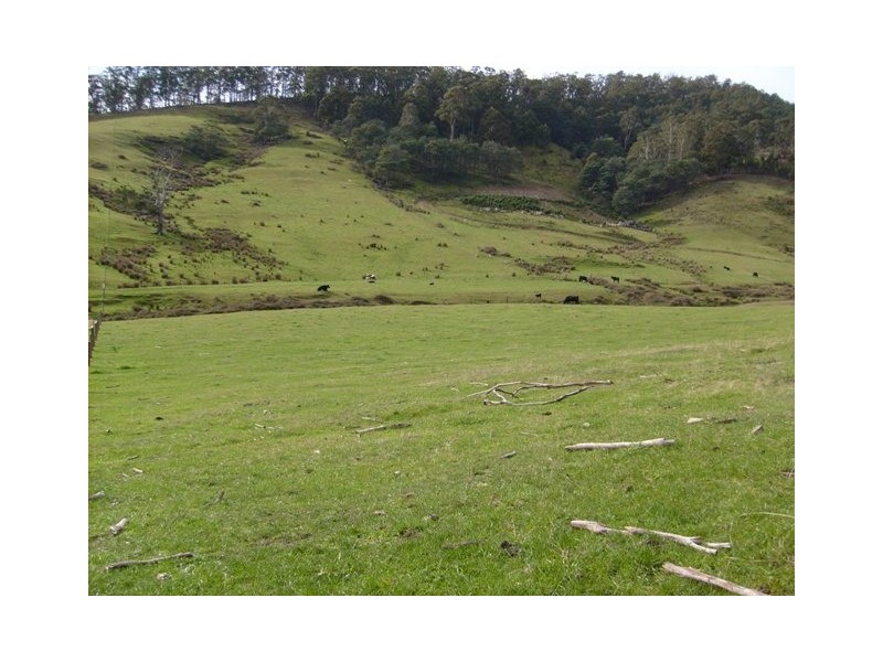 Wattle Grove TAS 7109