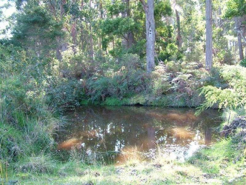 Bruny Island TAS 7150