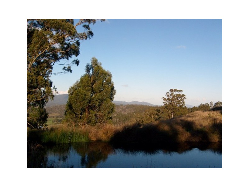 Wattle Grove TAS 7109