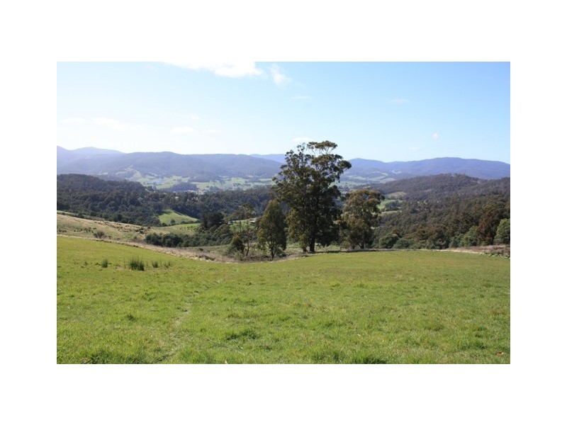 Wattle Grove TAS 7109