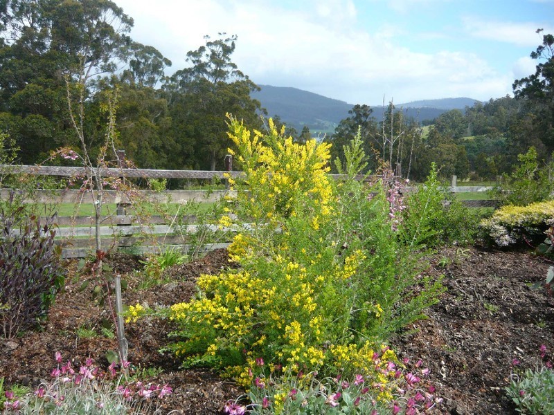 Petcheys Bay TAS 7109