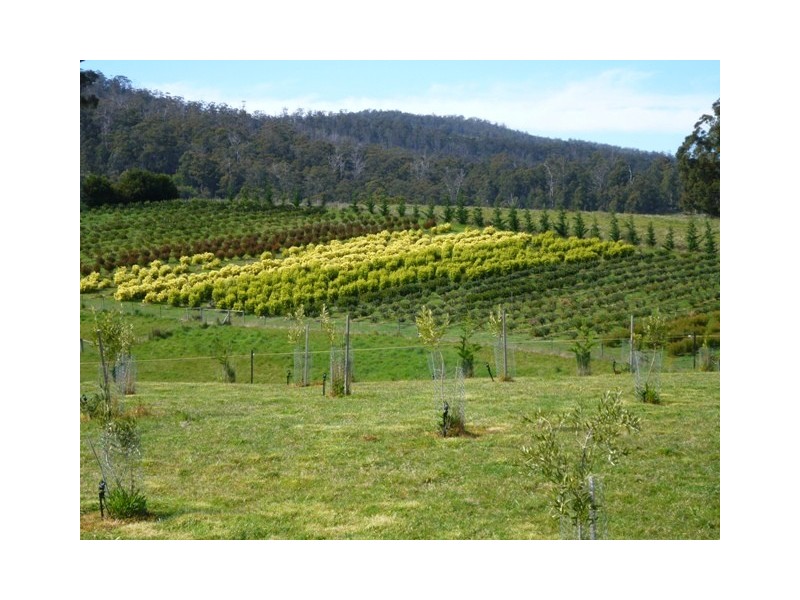 Lower Wattle Grove TAS 7109