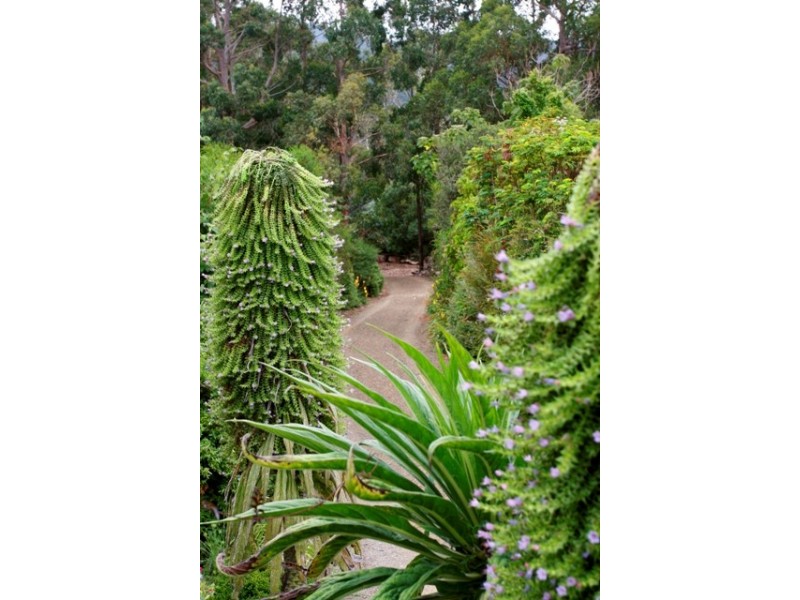 55  Cades Drive, Kingston TAS 7050