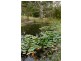 55  Cades Drive, Kingston TAS 7050