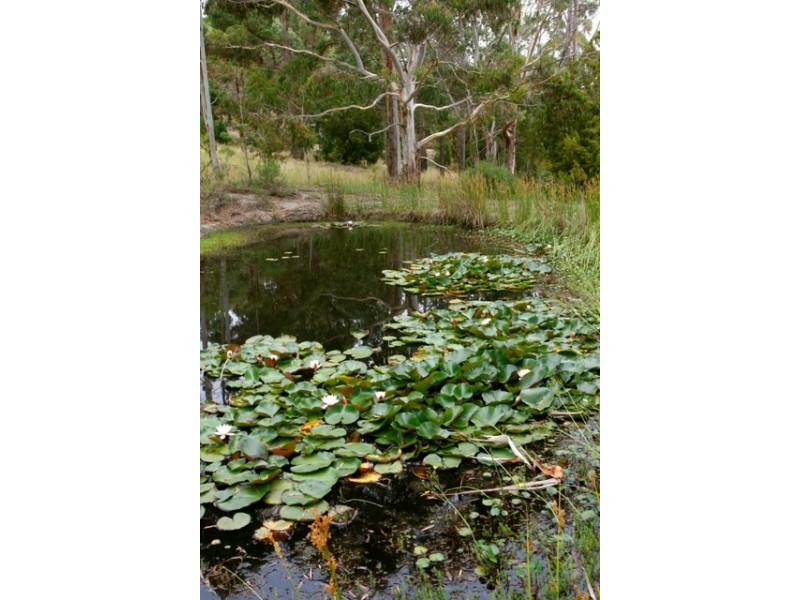 55  Cades Drive, Kingston TAS 7050