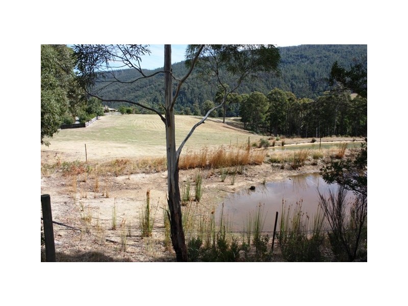 79 Crosswells Road, Pelverata TAS 7150