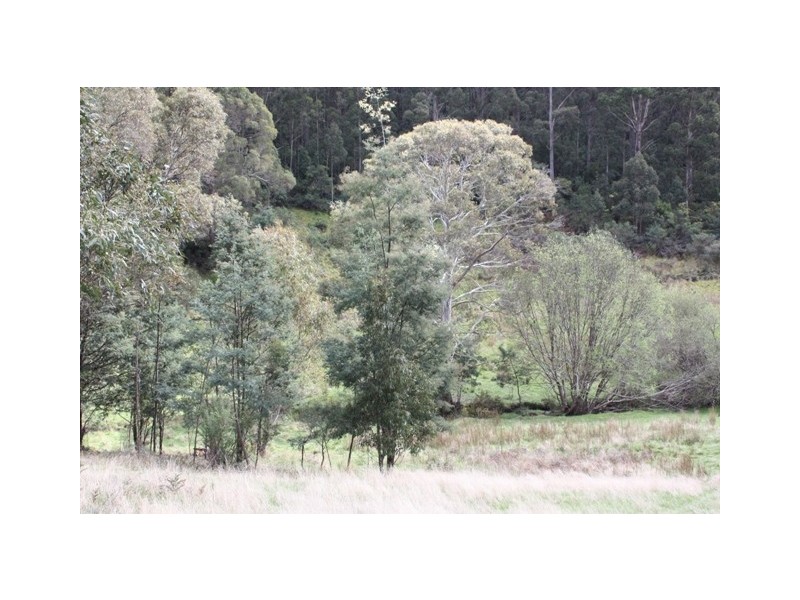 Allens Rivulet TAS 7150