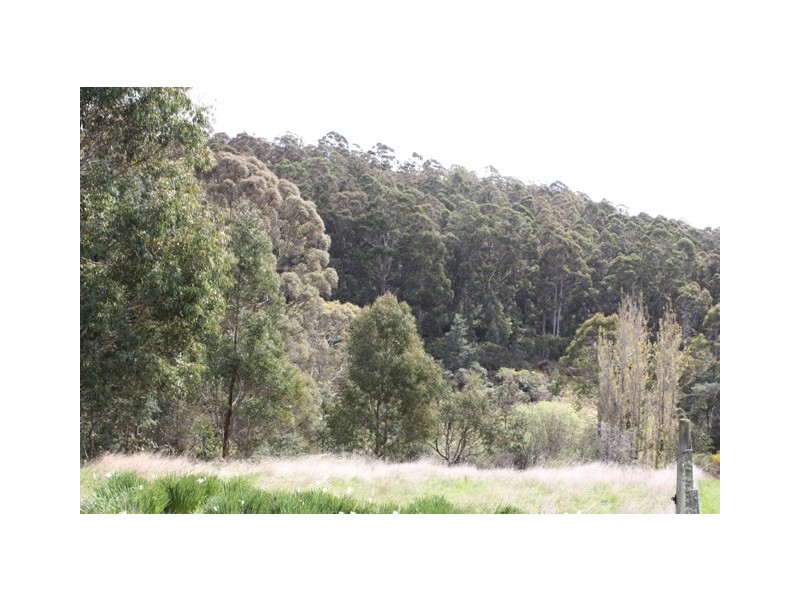 Allens Rivulet TAS 7150