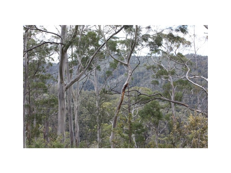 Scotts Road, Kingston TAS 7050