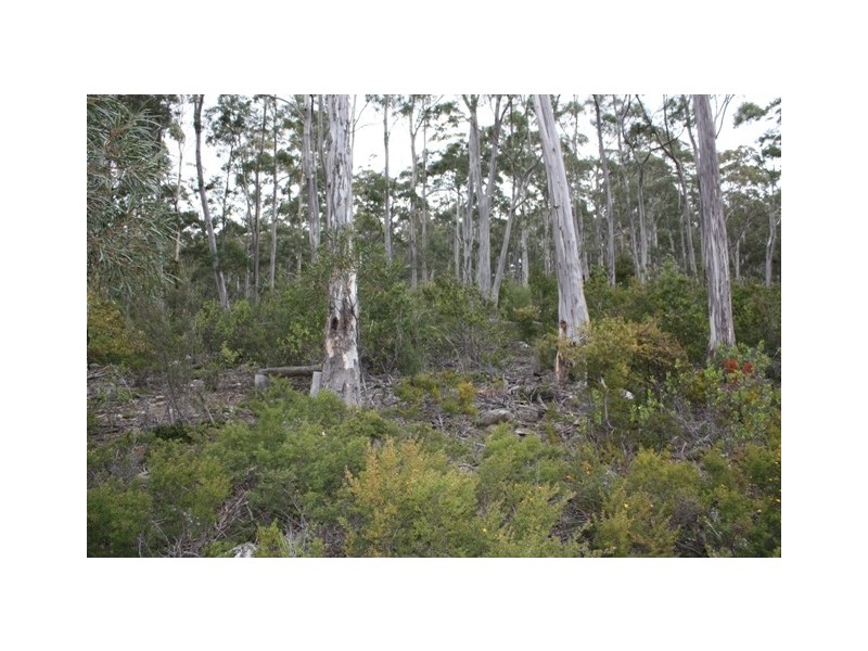 Scotts Road, Kingston TAS 7050