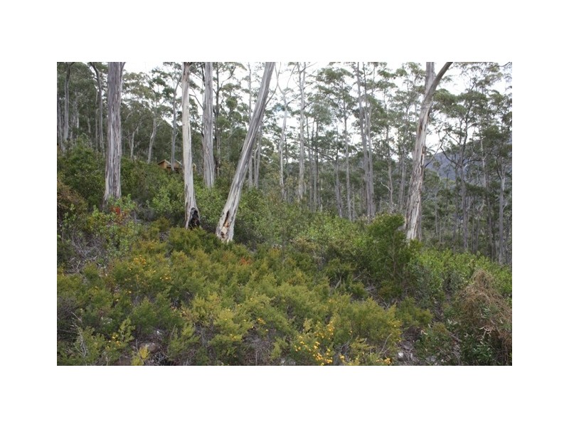 Scotts Road, Kingston TAS 7050