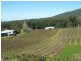 3644 Channel Highway, Birchs Bay TAS 7162
