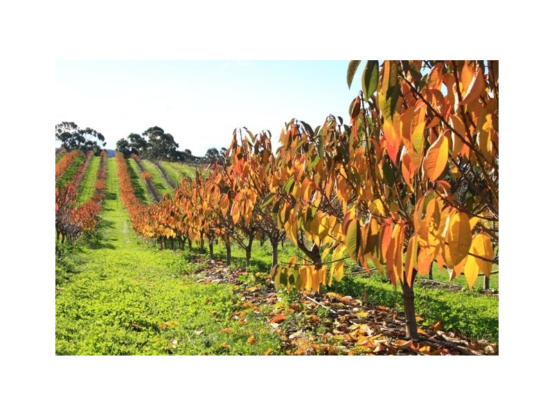 3644 Channel Highway, Birchs Bay TAS 7162