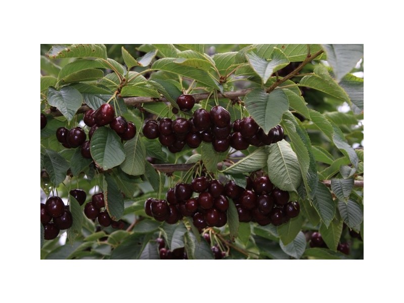 3644 Channel Highway, Birchs Bay TAS 7162