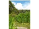 51 Harts Road, Snug TAS 7054