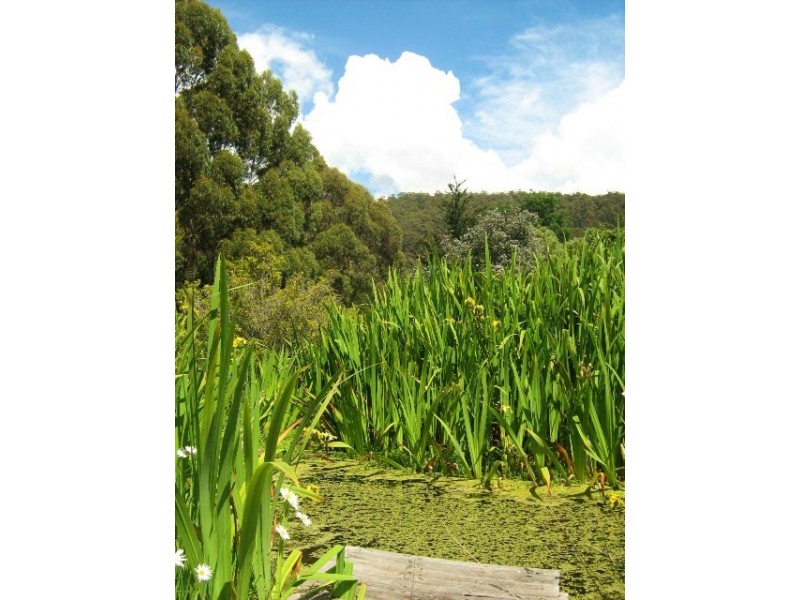 51 Harts Road, Snug TAS 7054