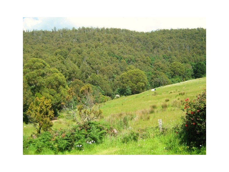 51 Harts Road, Snug TAS 7054