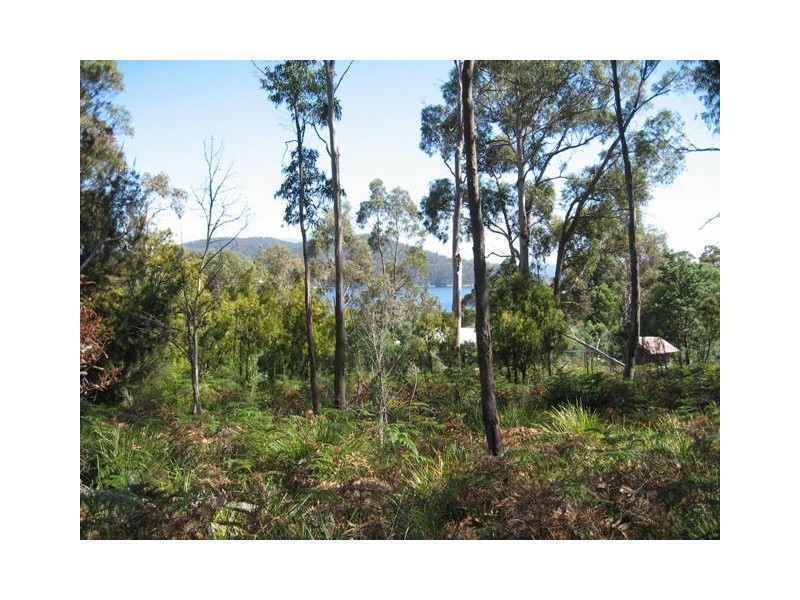 37 Cox Drive, Dennes Point, Bruny Island TAS 7150
